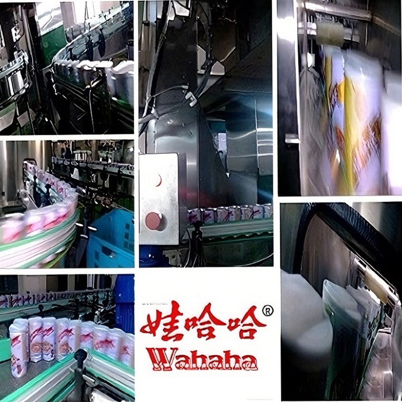 娃哈哈八寶粥生產(chǎn)線升級